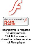 flash-player